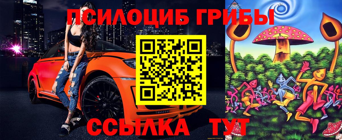 Псилоцибиновые грибы Psilocybine cubensis  Вход с VPN  Галлюциногенные грибы мицелий  Нефтеюганск 